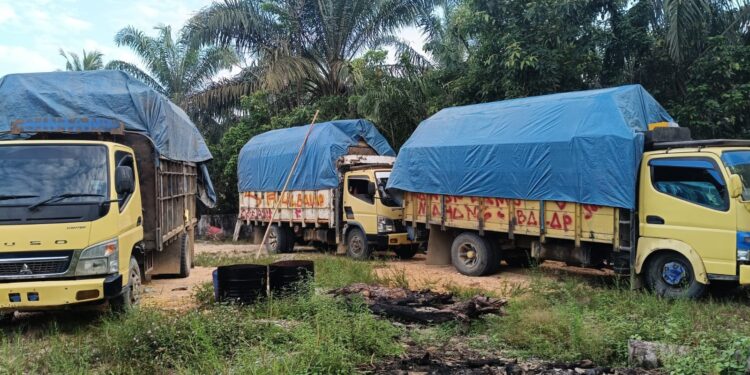 Ditreskrimsus Polda Riau Dibantu Polsek Kampar Kiri Amankan 4 Unit Cold Diesel Bermuatan Kayu Ilegal Logging