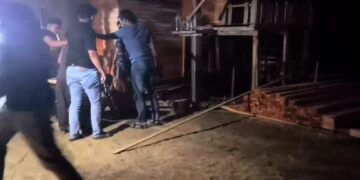 5 Pelaku Ilegal Logging Di Desa Siabu Diringkus Polres Kampar