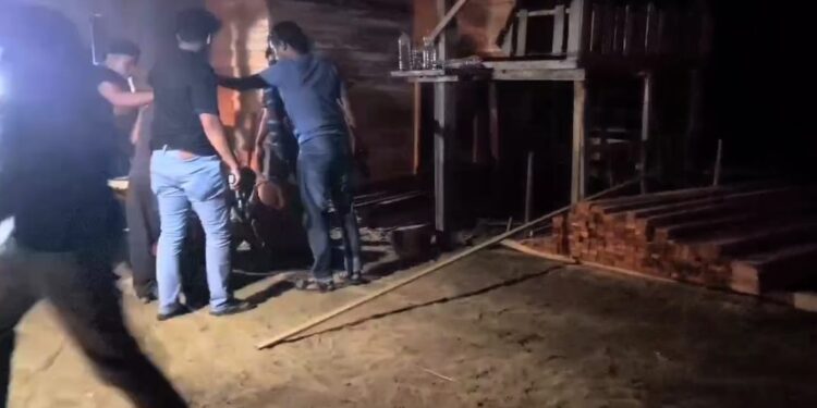 5 Pelaku Ilegal Logging Di Desa Siabu Diringkus Polres Kampar
