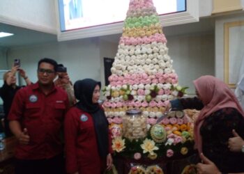 Sosialisasi Pembuatan Akun SIINAS Dan Pengukuhan Pengurus Kerupuk Kemplang Kota Palembang