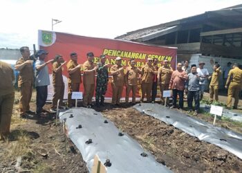 Pj. Walikota Azhari Kunjungi Perkebunan Jeruk Dan Menaman Cabe Secara Simbolis Bersama Kelompok Tani
