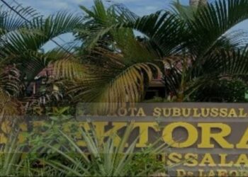 Waw!! Dana Desa Lae Langge Tahun 2023 Lagi Dalam Pemeriksaan, Inspektorat : Kita Akan Lakukan Cek Fisik