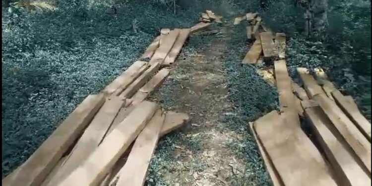 Lagi Lagi, Ratusan Keping Kayu Siluman Terkapar Dipinggir Jalan, Diduga Pemiliknya Para Siluman