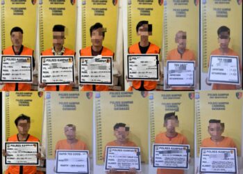 Tidak Main – Main, Dampak Buruk Bagi pelaku Ilegal Logging, Begini Nasib nya Sekarang 