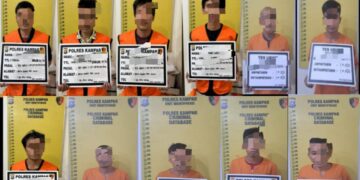 Tidak Main – Main, Dampak Buruk Bagi pelaku Ilegal Logging, Begini Nasib nya Sekarang 