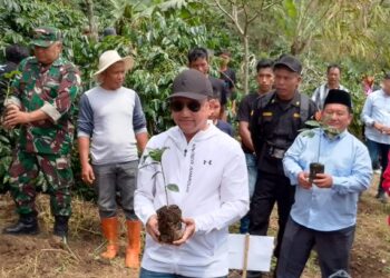 Resmi Dibuka, Festival Panen Kopi Gayo Di Asir-Asir Semarak