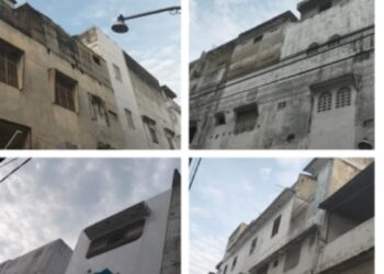 Ada Apa Usaha Sarang Walet Langsa Berjalan Bertahun- tahun Tapi Minim PAD