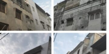 Ada Apa Usaha Sarang Walet Langsa Berjalan Bertahun- tahun Tapi Minim PAD