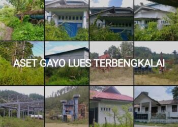Pemkab Gayo Lues, “PAD Mundur Aset Tidur”