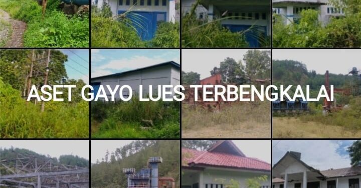 Pemkab Gayo Lues, “PAD Mundur Aset Tidur”
