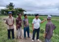 Hama Ulat Serang Ratusan Hektar Padi Desa Lueng Sa, Petani Mulai Panik Dan Cemas Gagal Panen