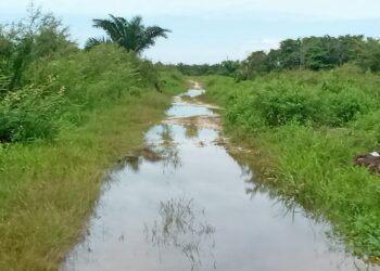 Akibat Banjir, Ruas Jalan Evakuasi Tsunami Di Sektor BRR Singkil Terputus