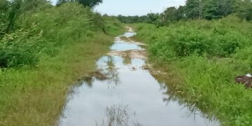 Akibat Banjir, Ruas Jalan Evakuasi Tsunami Di Sektor BRR Singkil Terputus