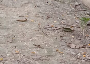 Lanjutan Pemberitaan Dugaan Mark Up Reje Lut Jaya Terkait APBK 2023 Di kuatkan Keterangan Dan Bukti