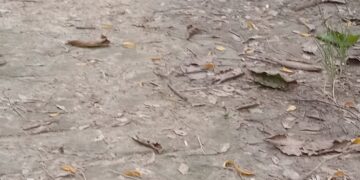 Lanjutan Pemberitaan Dugaan Mark Up Reje Lut Jaya Terkait APBK 2023 Di kuatkan Keterangan Dan Bukti