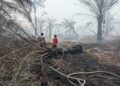 Posko Terpadu 05 Banyu Urip Tanjung Lago Melakukan Pemadaman Karhutla Di Talang Kelapa
