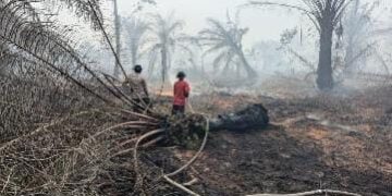 Posko Terpadu 05 Banyu Urip Tanjung Lago Melakukan Pemadaman Karhutla Di Talang Kelapa