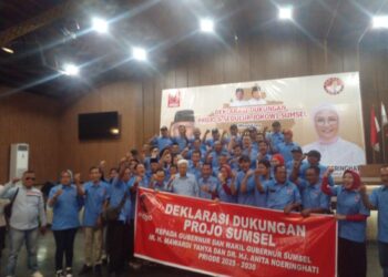Deklarasi Pendukung Projo Dan Sedulur Jokowi Sumsel Dukung Pasangan Mawardi – RA Anita