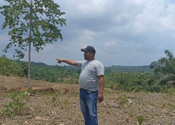 Plt Dinas Penyuluhan Pertanian Aceh Timur Enggan Berikan Konfirmasi, Diduga Alergi Terhadap Wartawan