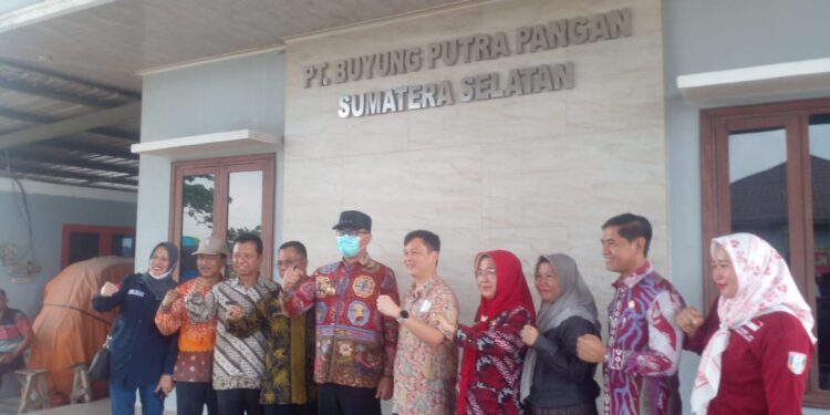 Peninjauan Gudang Pabrik Pangan Beras Buyung Di Desa Gasing Banyuasin