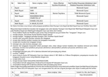 Ismail SE Paslon Pilkada Jalur Independen Kecam pengumuman KIP Gayo Lues