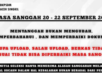 728 CPNS Aceh Singkil Dinyatakan Lolos Tahap Seleksi Administrasi