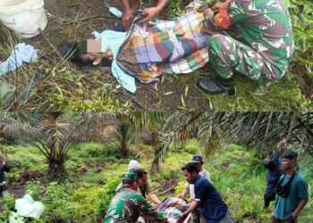 Diduga Sakit Dan Kelaparan, Wanita Ditemukan Dikebun Sawit, Meninggal Di RS