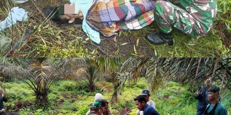 Diduga Sakit Dan Kelaparan, Wanita Ditemukan Dikebun Sawit, Meninggal Di RS