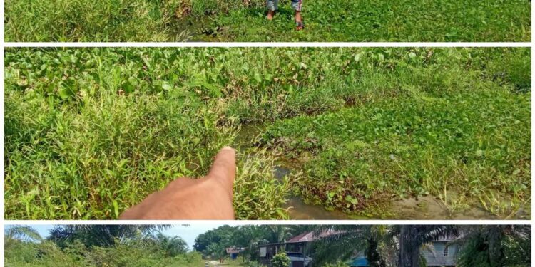 PT Nafasindo Diminta Untuk Normalisasi Drainase Di Desa Siti Ambia Das