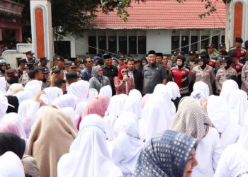 Ketua DPRK Fitriana Mugie Temui Ratusan Nakes RSUD Datu Beru Takengon