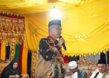 Kupas Tuntas Progres Pembangunan Ala Hamzah