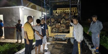 Polsek Benai Ungkap Kasus Pencurian Buah Kelapa Sawit Di Desa Banjar Benai 