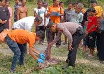 Miris!!, Kematian Bayi Perempuan Di Batubara Belum Terungkap Oleh APH