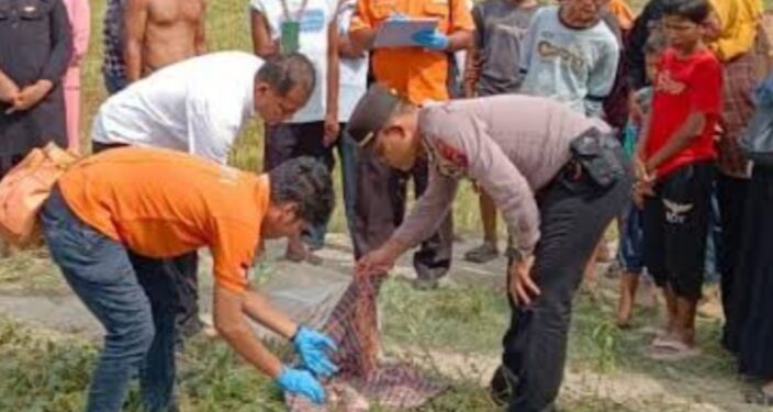 Miris!!, Kematian Bayi Perempuan Di Batubara Belum Terungkap Oleh APH