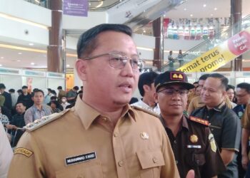 Job Fair Kabupaten Banyuasin 2024