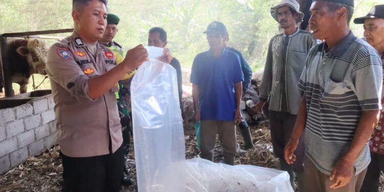 Berbagi Pengalaman, Bhabinkamtibmas Polsek Pegasing Berikan Pelatihan Pembuatan Pakan Ternak