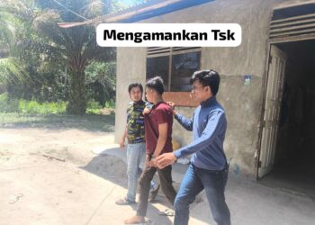 Ganggu Kamtibmas Pilkada, Pelaku Pengancaman Supir Truk CPO di Kampar Ditangkap