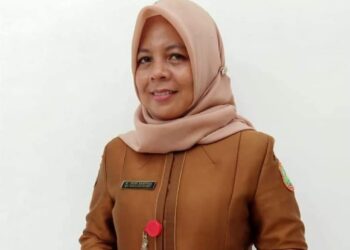 Penjelasan Direktur RSUD Subulussalam Terkait Video Berisi Komplain Pasien