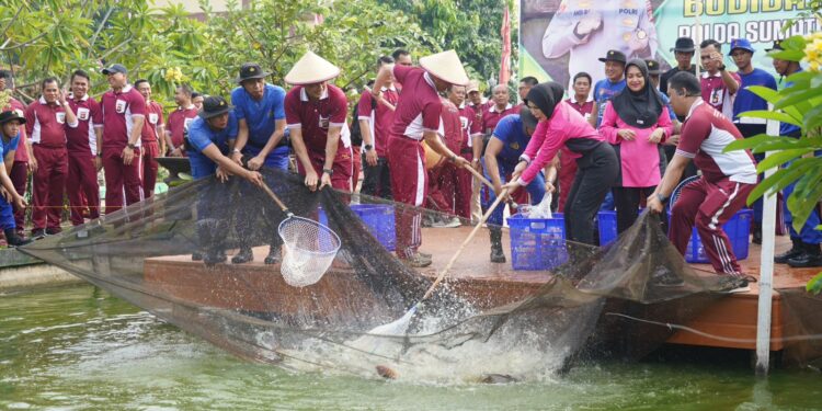 Dukung Misi Asta Cita, Polda Sumsel Panen Raya 2,5 Ton Ikan, Tebar Bibit Puluhan Ribu Ekor
