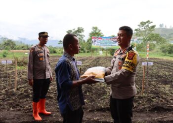 Mendukung Ketahanan Pangan, Polres Aceh Tengah Bersama Instansi Terkait Tanam Jagung Hibrida