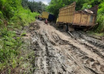 Masyarakat Sijudo Meminta Perhatian Kepada Perusahaan Triangle Pasee Perbaiki Jalan Rusak