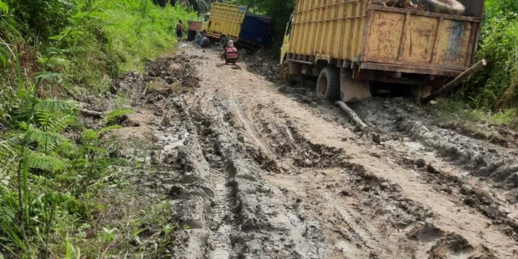 Masyarakat Sijudo Meminta Perhatian Kepada Perusahaan Triangle Pasee Perbaiki Jalan Rusak