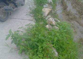 Pekerjaan TPT Desa Terutung Megare, Diduga Asal Jadi Dan Kurang Maksimal