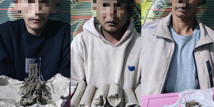 Satresnarkoba Polres Aceh Tengah Ungkap Penyalahgunaan Ganja, 3 Tersangka Diringkus