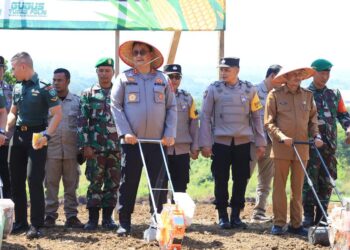 Kapolda Aceh Bersama Forkopimda Tanam Satu Juta Hektar Jagung Secara Serentak