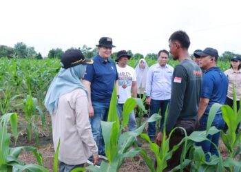 Kapolda Riau Tinjau Dua Lahan Ketahanan Pangan, Dorong Implementasi Program Prioritas Presiden RI