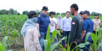 Kapolda Riau Tinjau Dua Lahan Ketahanan Pangan, Dorong Implementasi Program Prioritas Presiden RI