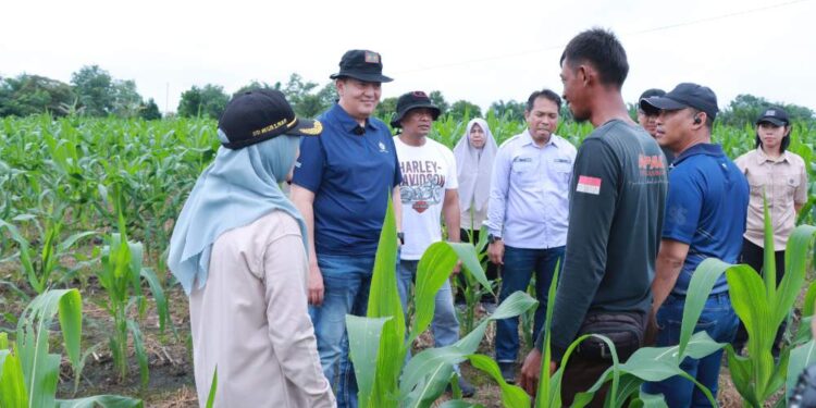 Kapolda Riau Tinjau Dua Lahan Ketahanan Pangan, Dorong Implementasi Program Prioritas Presiden RI