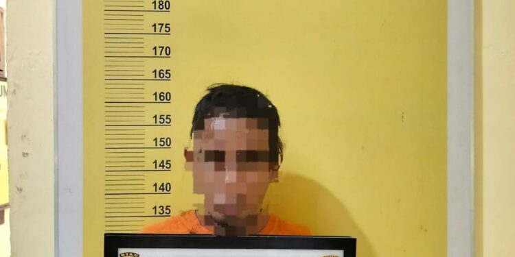 Pencuri Kelapa Sawit Beraksi Lagi, Polisi Tangkap Pelaku Berulang Kali Beraksi Di Kampar Kiri Hilir