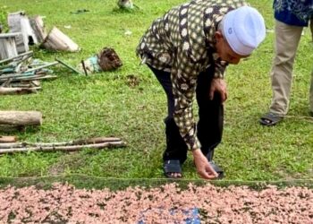 Dorong Peningkatan Ekonomi, Wakil Bupati Berkunjung ke Penghasil Udang Baring